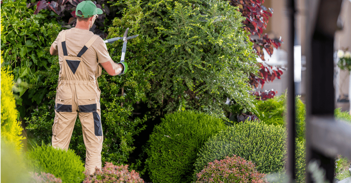Landscaping and Gardening Jobs Abroad with Visa Sponsorship