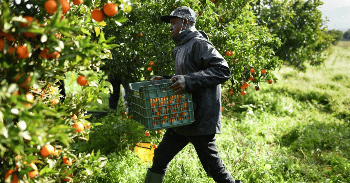 Unskilled Jobs Abroad No One Talks About (But Pay Well!)